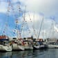 1034809_Rel 1034809_2_XXL.jpg