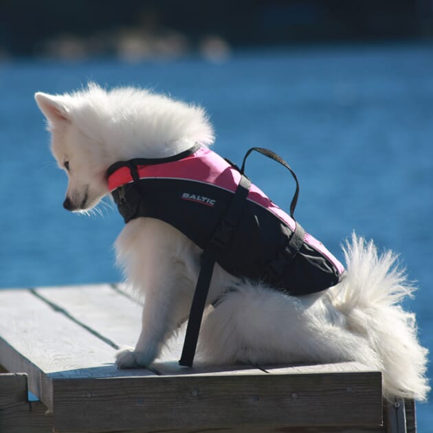 1040342_Rel 1040330_3_XXL.jpg