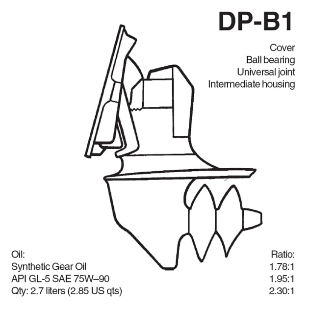 VPDPA2_Rel DP-B1.jpg