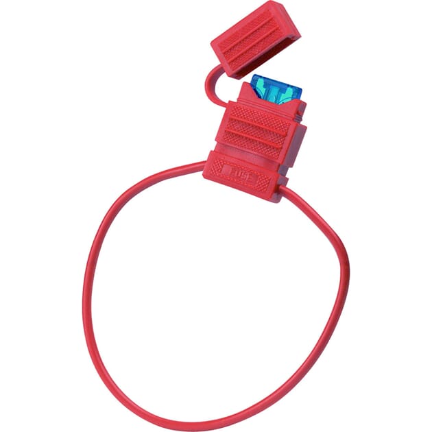 1010713 1010713_XL.jpg