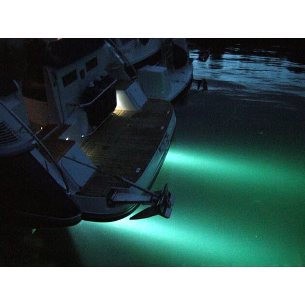 1011070_Rel H1011070_1_XL.jpg