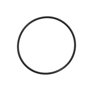 O-Ring (OMC/Cobra), Erst: 310414