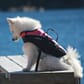 1040622_Rel 1040622-3 Baltic Mascot hundevest UV gul.jpg
