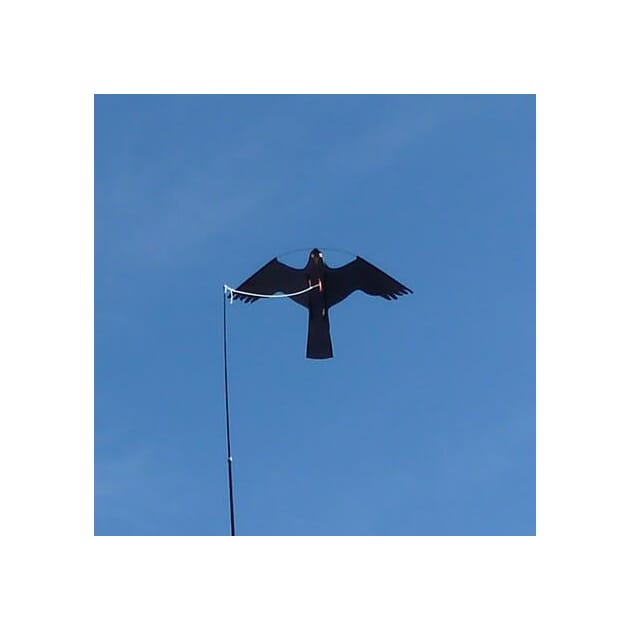 1021808 1021808_1_XXL.jpg