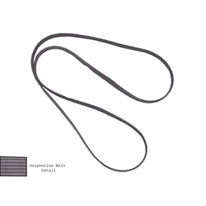 Serpentine Belt