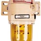 2010TM-OR_Rel 500fg.jpg