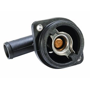 Thermostat EFI 75-150HK (8M0090819)